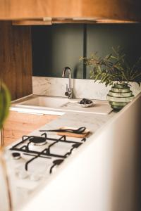 a kitchen counter with a stove and a sink at Regenbogen Bad Gandersheim in Bad Gandersheim