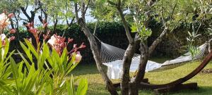 a hammock in a garden with trees and flowers at Peace of mind N 3 in Poljane