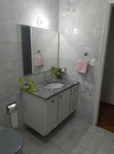 a bathroom with a sink and a mirror at Casa no Centro de Serra Negra in Serra Negra