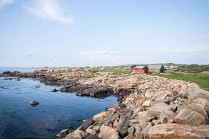 a large group of birds flying over a rocky shore at Newly built accommodation in Skrea - Falkenberg in Falkenberg
