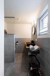 uma casa de banho com um lavatório e um chuveiro em Deichkind 25 em Hedwigenkoog
