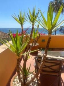 Fotografia z galérie ubytovania 3 Bedroom apartment with beautiful sea views v destinácii Manilva