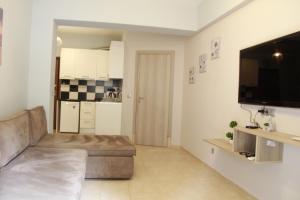 a living room with a couch and a flat screen tv at Apartment Maxim in Athens