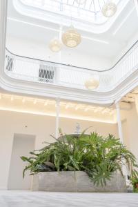 Zdjęcie z galerii obiektu Suites Alfonso X w mieście Jerez de la Frontera
