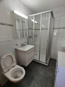 uma casa de banho com um WC, um chuveiro e um lavatório. em Erli 13 em Leukerbad