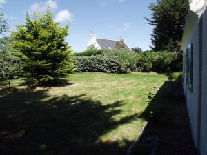 a yard with a tree next to a house at Maison Sauzon, 4 pièces, 6 personnes - FR-1-418-153 in Sauzon