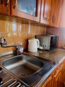 a kitchen counter with a sink and a microwave at Chatka Valaška in Terchová