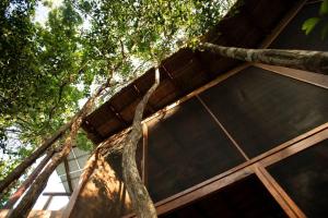 Fotografie z fotogalerie ubytování OJO DE AGUA. Design+pool. Vive la auténtica selva! v destinaci Tulum