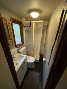 een kleine badkamer met een wastafel en een toilet bij Gezellig chalet op de prachtige Veluwe in Putten