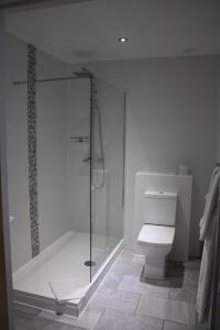 a bathroom with a glass shower and a toilet at Charnock Farm Motel in Leyland