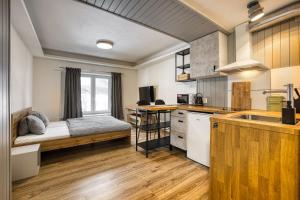 Kuchyňa alebo kuchynka v ubytovaní Apartmány Pod Šerákem