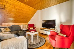 Televízia a/alebo spoločenská miestnosť v ubytovaní Apartmány Pod Šerákem