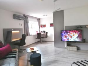 sala de estar con sofá y TV de pantalla plana en Business Apartments, en Hohenems