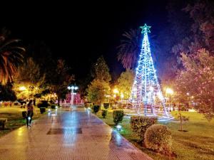 Un árbol de Navidad en un parque por la noche en Cabañas Yesica en San Rafael