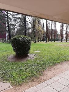 un cespuglio seduto in mezzo a un parco di CASA VACANZE FILO a Pordenone