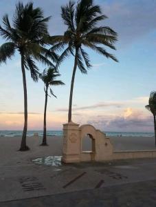 two palm trees and a building on the beach at 2 Great room for rent, Individual entrance, Share bathroom, beautiful lake, in manufactured home 5 min from Hard Rock Hotel Casino in Davie