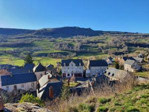 a village on a hill with houses andyards at Grand Hotel de la Vallée in Cheylade