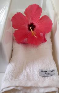 a red flower sitting on top of a towel at D'Ajuda Flat Taipu Bangalôs in Taipu