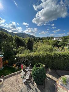 a view of a garden with a roller coaster at Gamelin in Llangollen