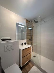 ein Bad mit einer Dusche, einem WC und einem Waschbecken in der Unterkunft Appartement vue sur mer, 100 m de la plage in Carantec