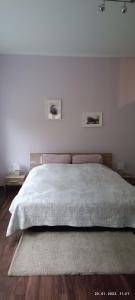 um quarto com uma cama grande e duas fotografias na parede em Apartman Zelengaj em Zagreb
