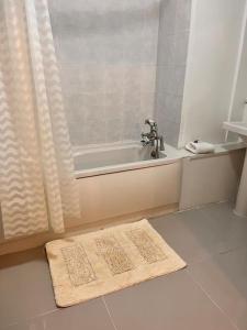 a bathroom with a bath tub and a rug on the floor at Imperial museum apartment in London