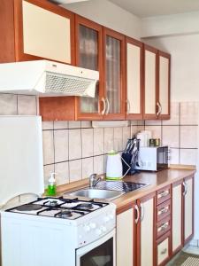 Kuchyňa alebo kuchynka v ubytovaní Villa Sofija