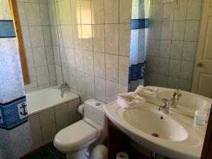 Los Coihues Patagonia Lodge في La Junta: حمام مع حوض ومرحاض وحوض استحمام