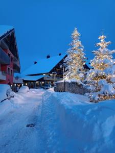 ein schneebedeckter Weihnachtsbaum neben einem Gebäude in der Unterkunft Appartamento Stalle Lunghe in Prato Nevoso