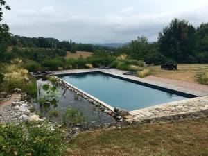 une piscine au milieu d'un champ dans l'établissement MAS DEL LUM, à Boussac