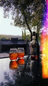 twee wijnglazen en een fles alcohol op tafel bij Loft de Montaña in Río Ceballos