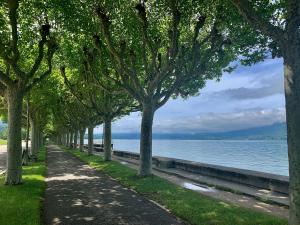 a tree lined path next to a body of water at La Source Positive in Aix-les-Bains