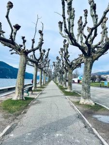 Príroda v okolí apartmánu