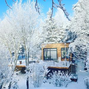 a cabin in the woods in the snow at PASSION HUT in Salantai