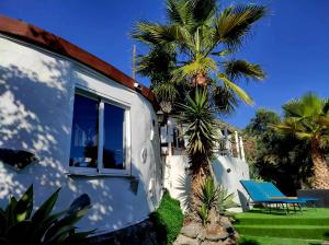 una casa blanca con una palmera al lado en Etoile arc-en-ciel, en Tejina de Isora