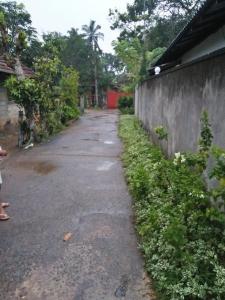 an empty road next to a wall at Tiny Stay in Hikkaduwa