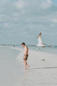 Hosté ubytování Hotel Encanto Holbox Beach Front