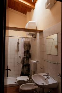 a bathroom with a toilet and a sink and a shower at Agriturismo Dai Mori in Isola del Piano