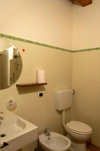a bathroom with a toilet and a sink and a mirror at Agriturismo Dai Mori in Isola del Piano +37 photos