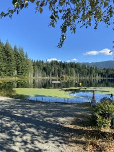 a view of a lake with trees in the background at Beaver Lake Resort Site #36 in Lake Cowichan