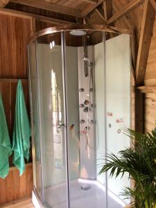 ducha con mampara de cristal en una habitación en Unique Glamping / Domo Betsaida en Guatapé