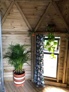 um quarto com uma janela e um vaso de plantas em Unique Glamping / Domo Betsaida em Guatapé