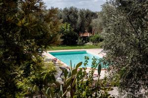 una piscina en medio de un patio con árboles en Casa Papavero, en San Michele Salentino