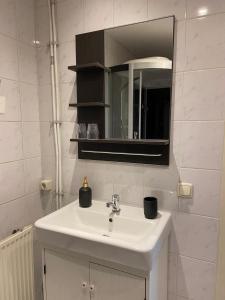 een badkamer met een witte wastafel en een spiegel bij Bed&Bulbs in Hillegom