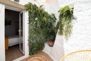 Vonkajšia záhrada v ubytovaní Casa Alegría Completa
