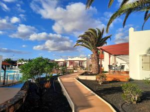 a house with a palm tree next to a swimming pool at Sun beach Caleta 24 in Caleta De Fuste