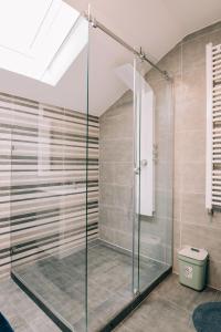 帕利克的住宿－Tulip Guest House I.，浴室设有玻璃淋浴间和卫生间