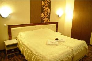 Gallery image of Apartments and guest rooms "Dunav"" in Svishtov
