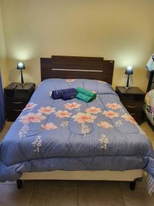 Una cama con un edredón azul con dos botellas. en Calido departamento en Ushuaia 7 en Ushuaia