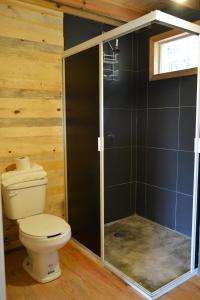 a bathroom with a toilet and a glass shower at Mágica Cabaña en Parque La Pirámide in La Florida